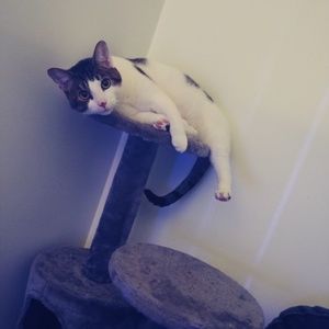 Meet your Posher, Brianna